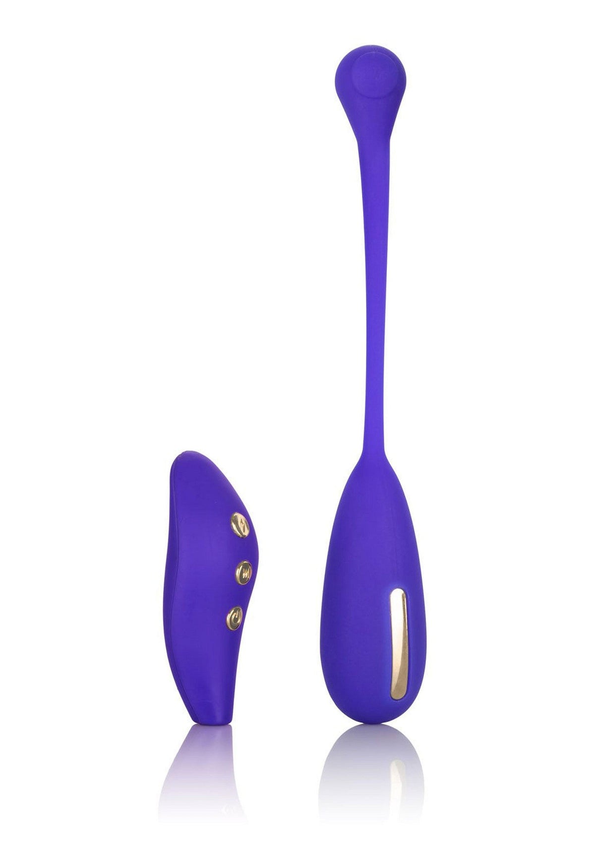 13600 calexotics impulse estim remote kegel exerciser