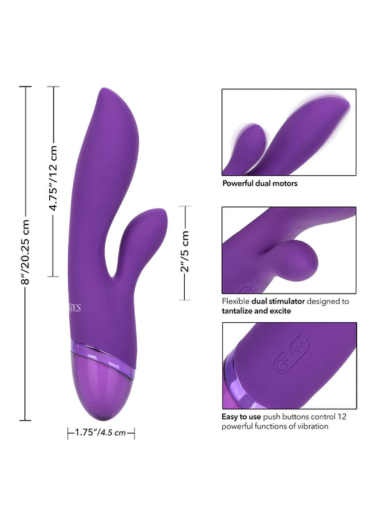 14044 calexotics aura aura dual lover