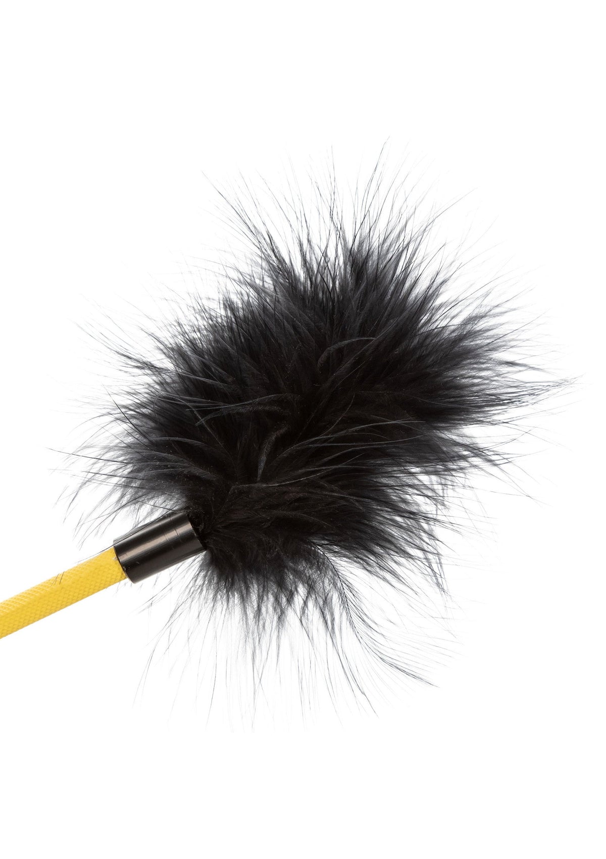 14225 calexotics boundless boundless feather crop