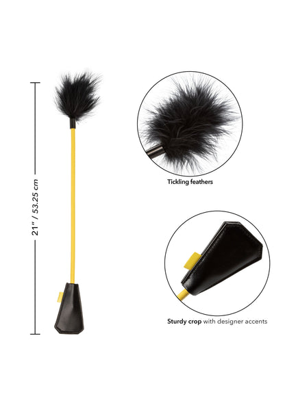 14225 calexotics boundless boundless feather crop