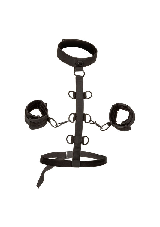 14228 calexotics boundless boundless collar restraint