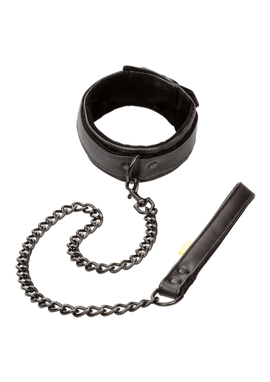 14244 calexotics boundless boundless collar leash