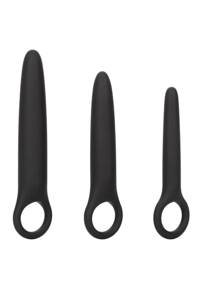 14253 calexotics boundless boundless dilator trio