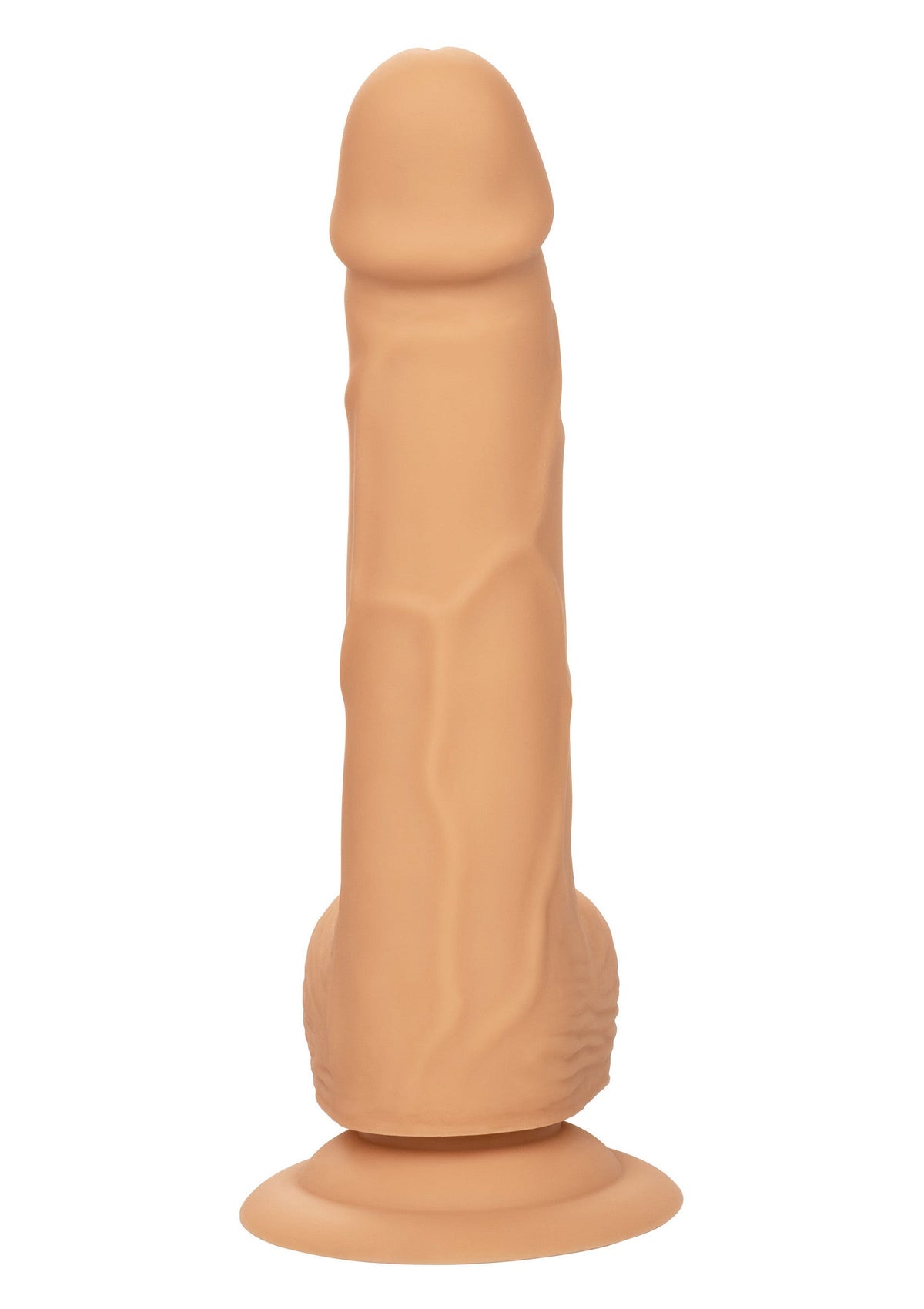 14744 calexotics stud silicone studs 6 inch