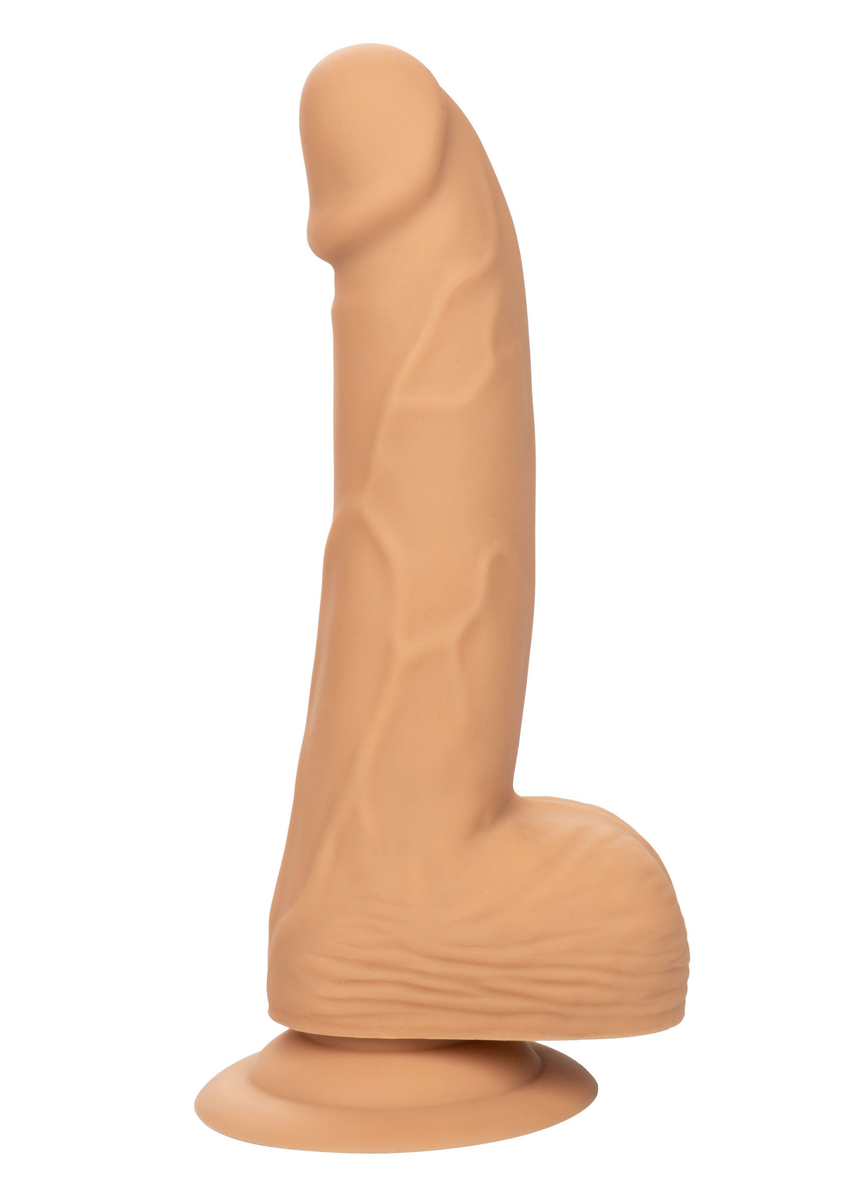 14744 calexotics stud silicone studs 6 inch