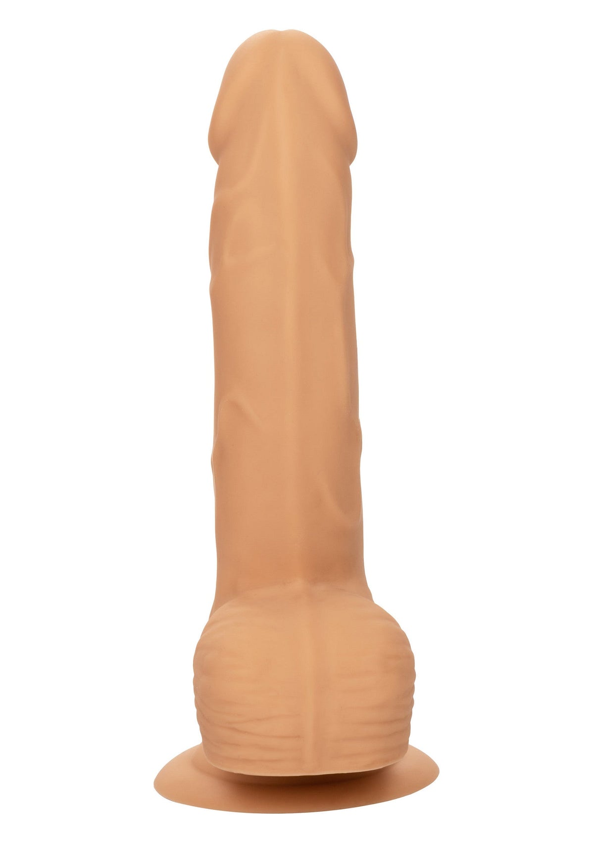 14744 calexotics stud silicone studs 6 inch