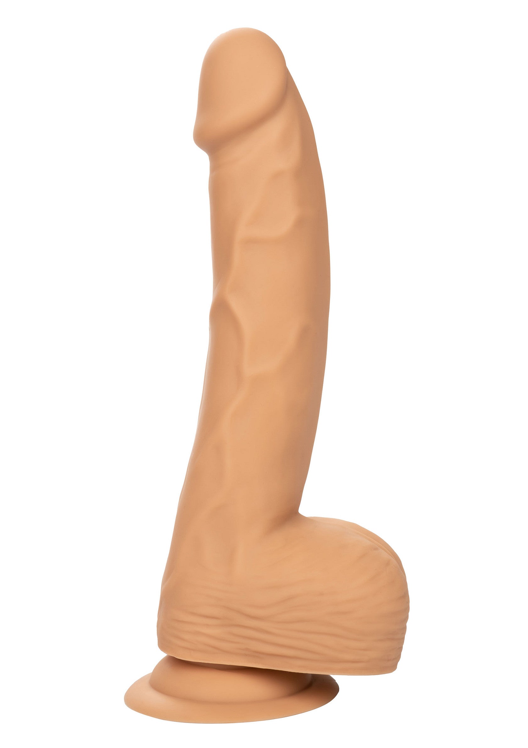 14745 calexotics stud silicone studs 8 inch