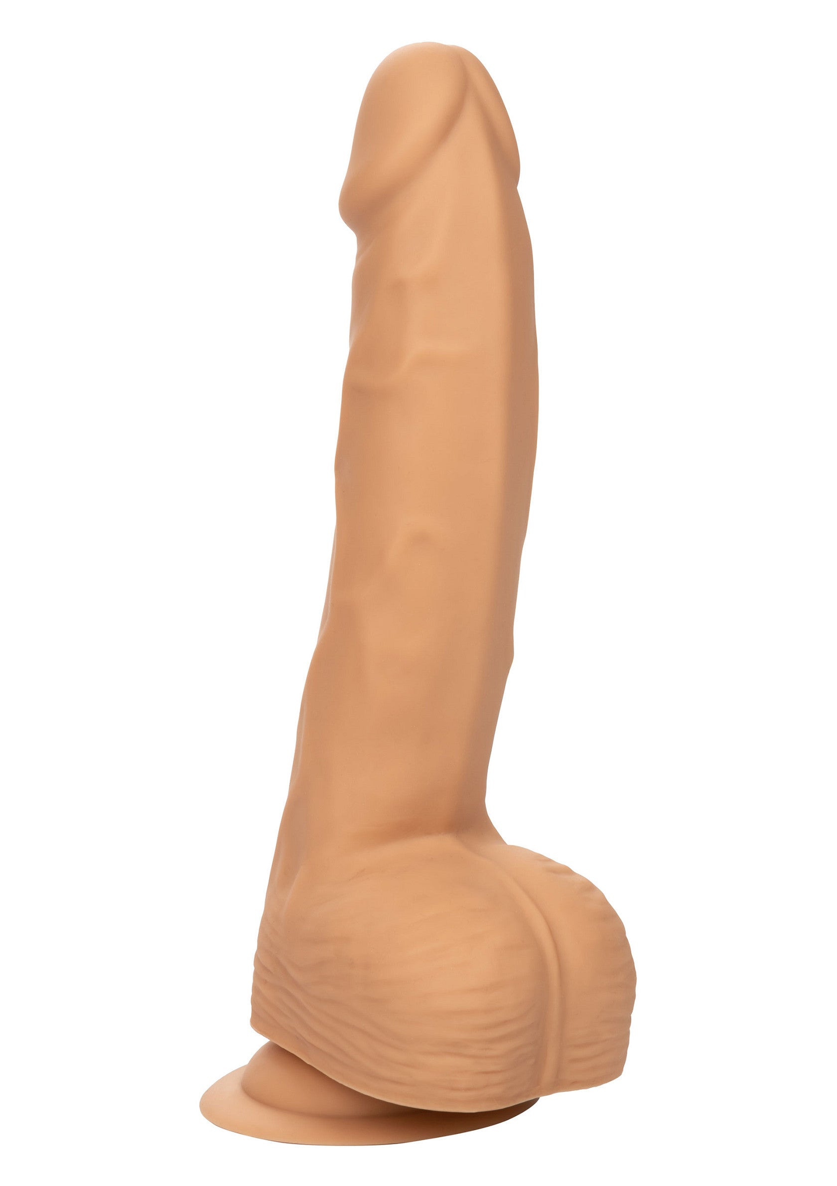 14745 calexotics stud silicone studs 8 inch