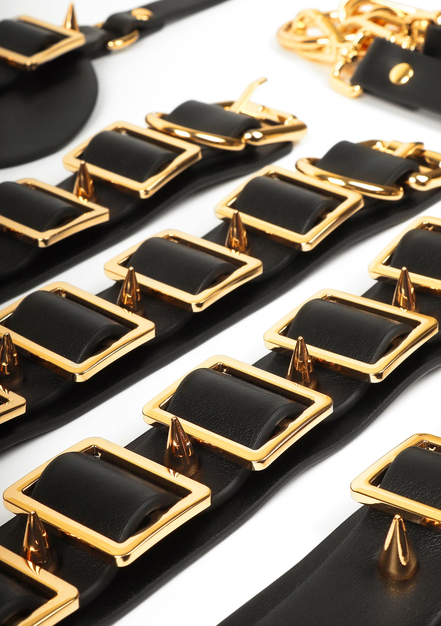 Desires Masterpiece Case