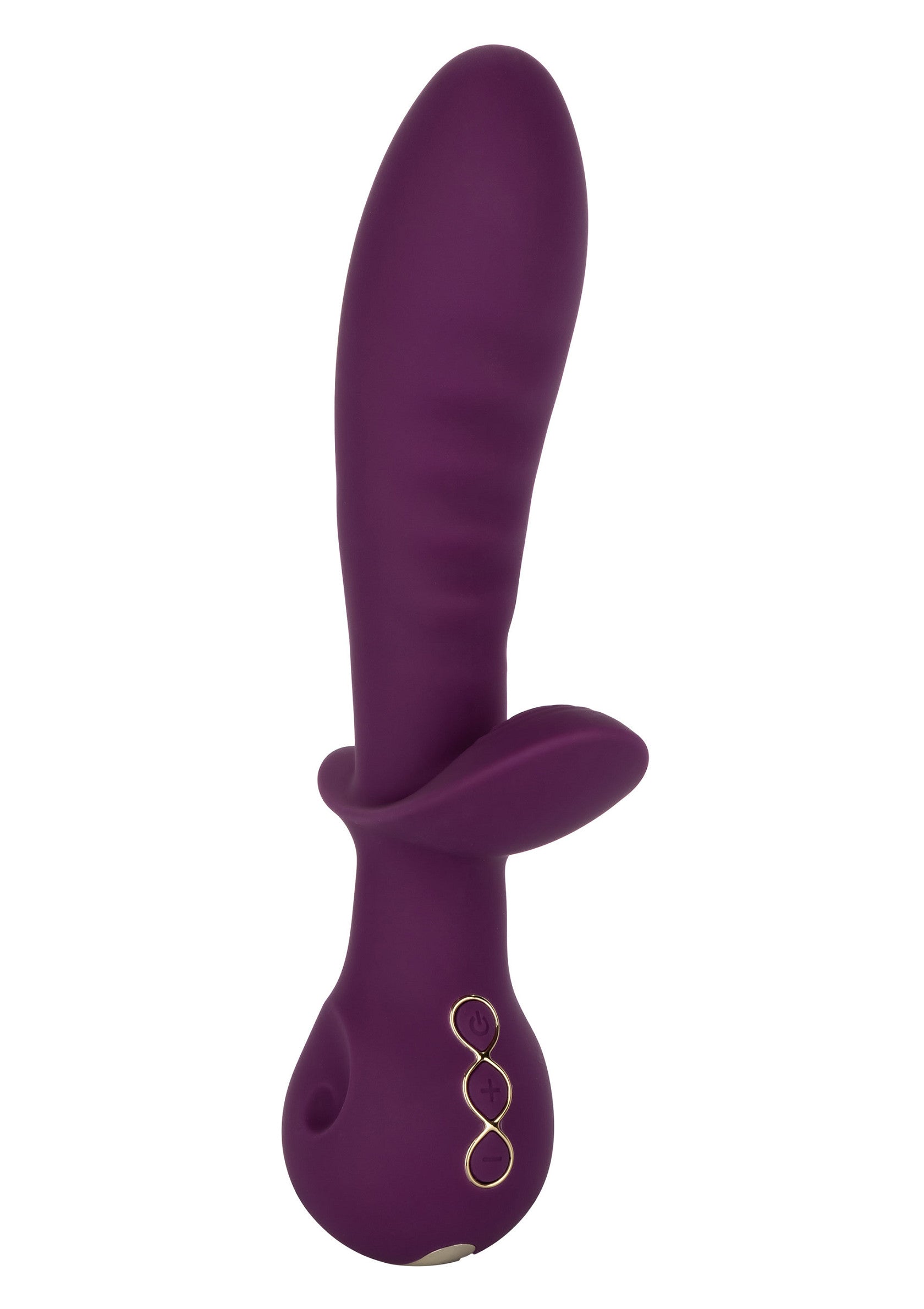 14836 calexotics obsession obsession lover