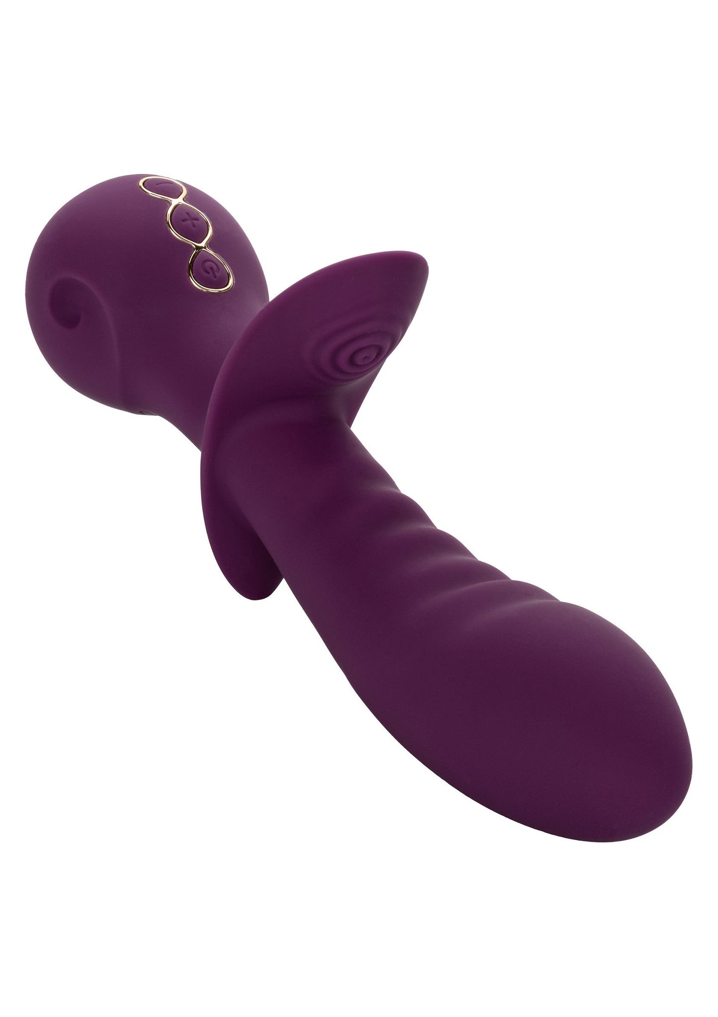 14836 calexotics obsession obsession lover