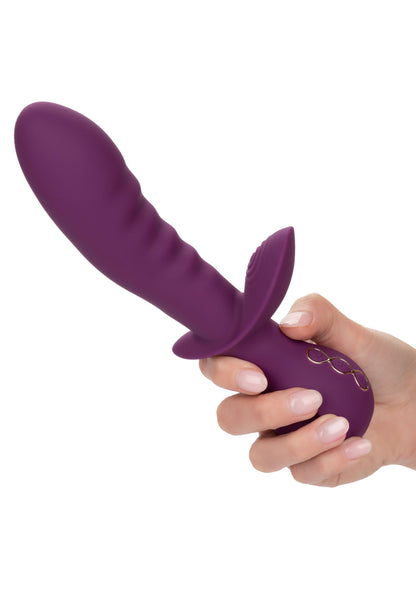 14836 calexotics obsession obsession lover