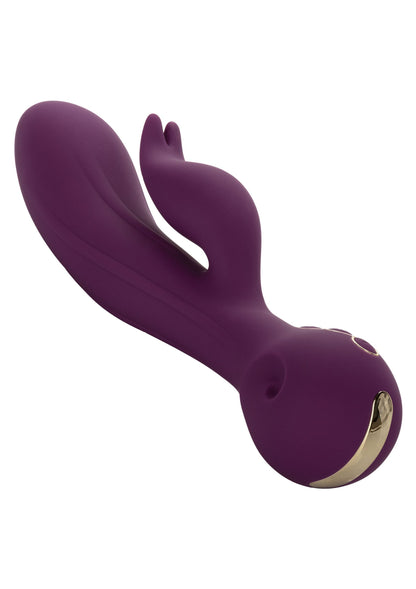 14837 calexotics obsession obsession desire