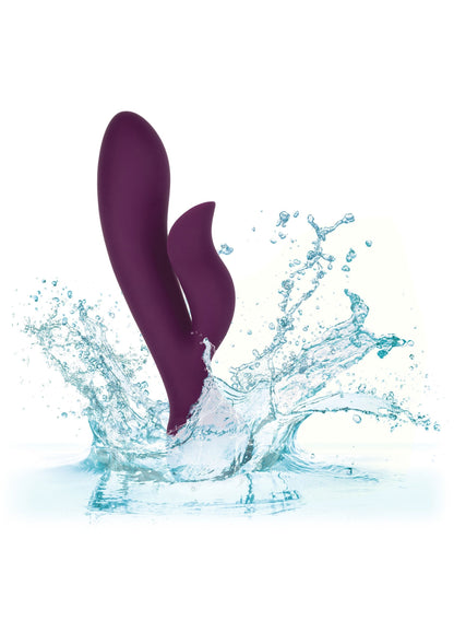 14838 calexotics obsession obsession fantasy