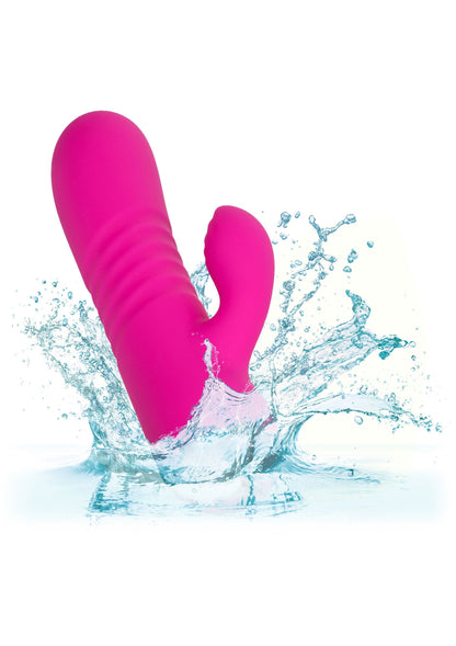 16526 calexotics thicc thicc chubby honey