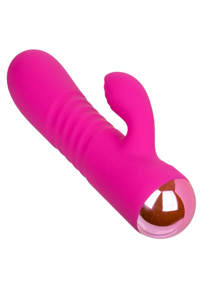 16526 calexotics thicc thicc chubby honey