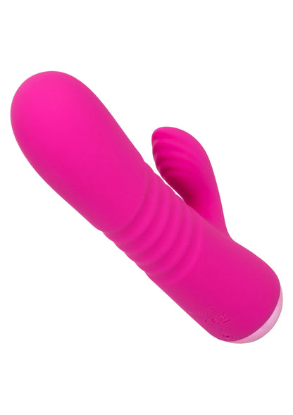 16526 calexotics thicc thicc chubby honey