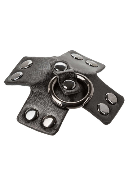 16700 calexotics euphoria o ring pasties
