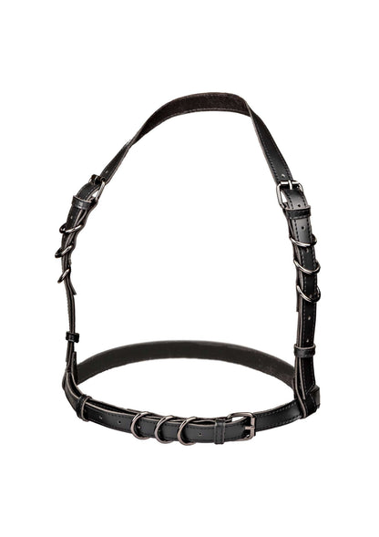16702 calexotics euphoria halter buckle harness