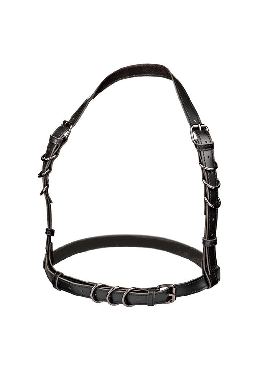 16702 calexotics euphoria halter buckle harness