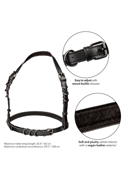 16702 calexotics euphoria halter buckle harness