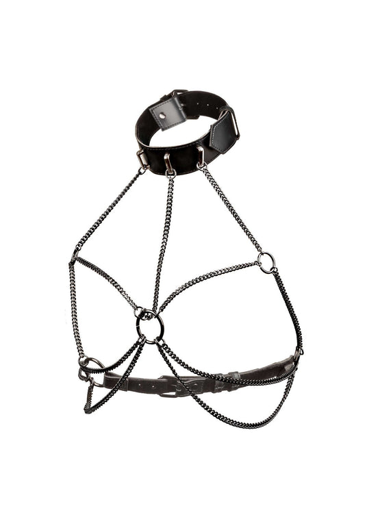 16705 calexotics euphoria chain collar harness plus