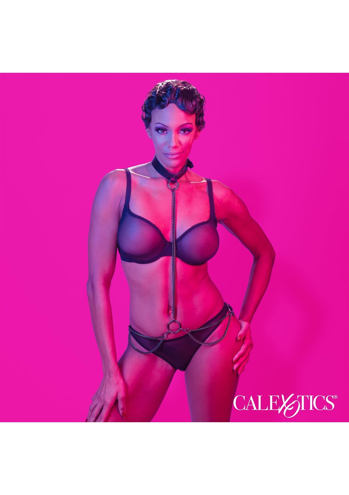 16771 calexotics euphoria chain halter collar