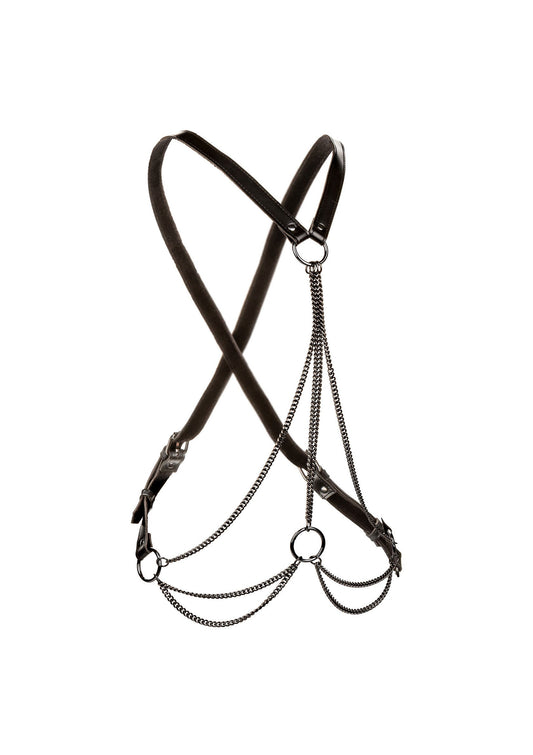 16774 calexotics euphoria multi chain harness plus