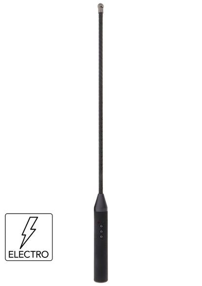 16835 hidden desire extreme electro shock cane