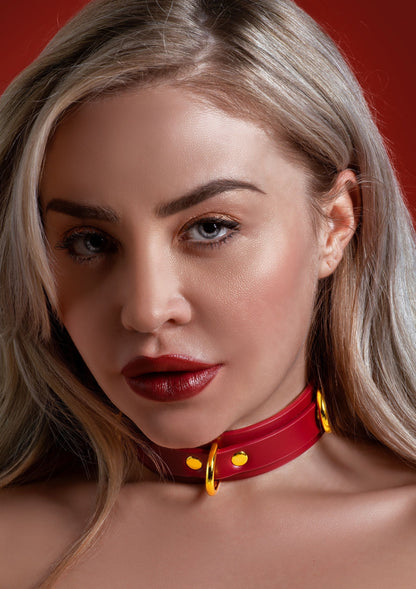 17153 taboom bondage in luxury d ring collar deluxe