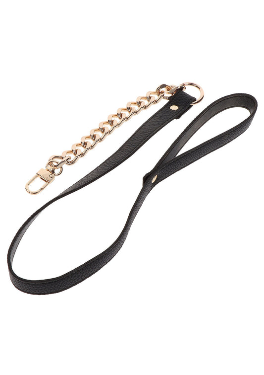 17304 taboom dona statement collar and leash
