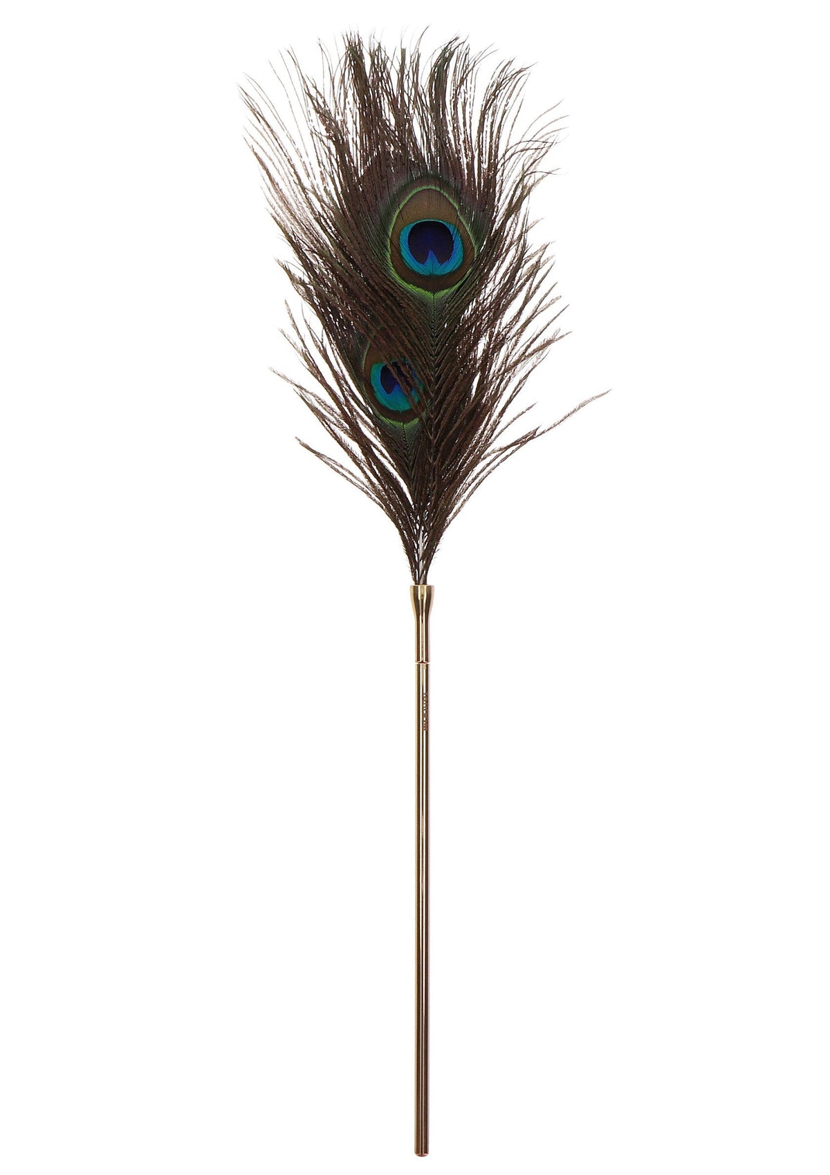 17307 taboom dona peacock tickler