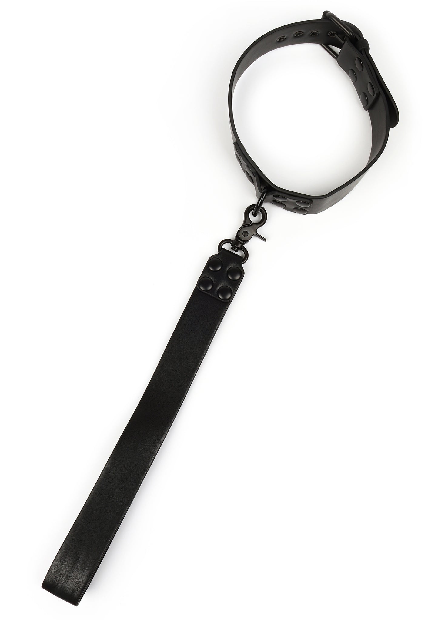 Signature Collar & Short Leash