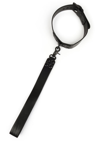 Signature Collar & Short Leash