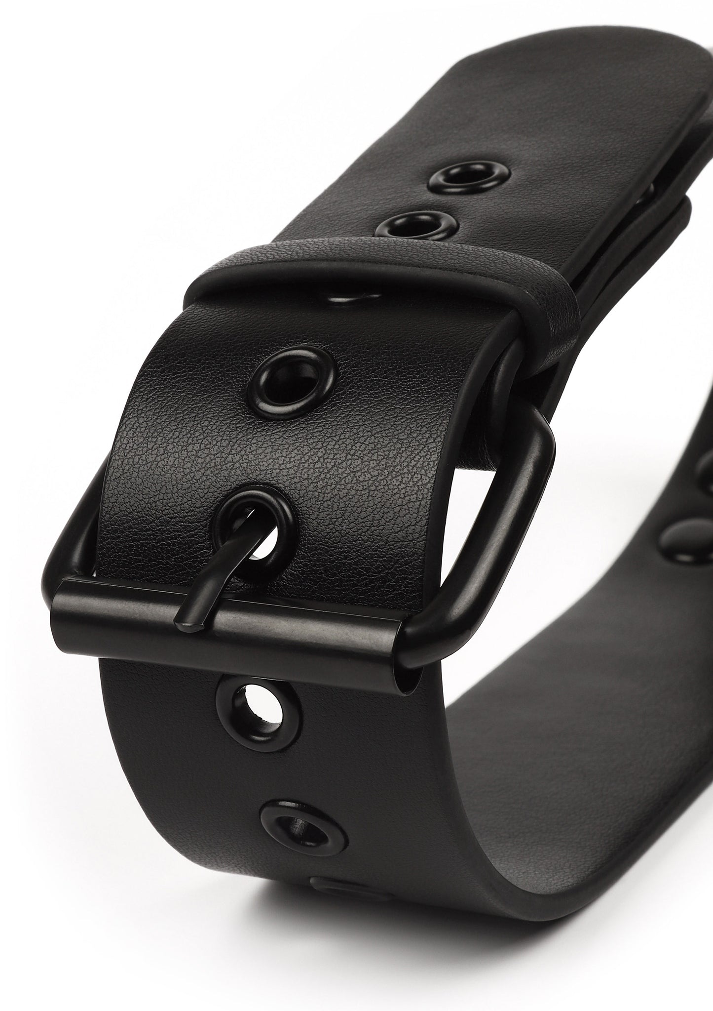 Signature Collar & Short Leash