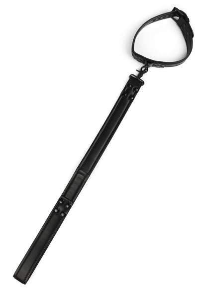 Signature Collar & Leash