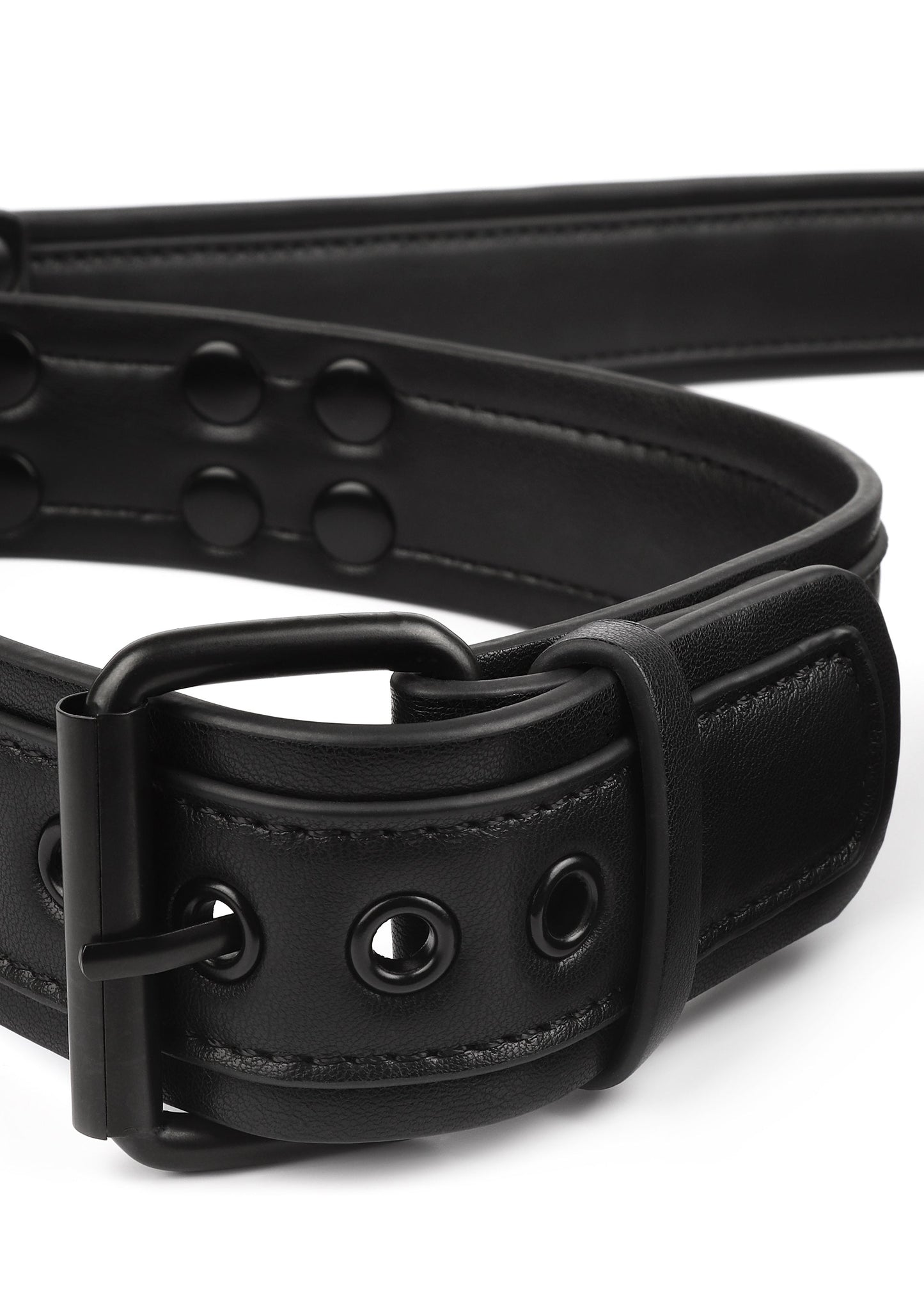 Signature Collar & Leash