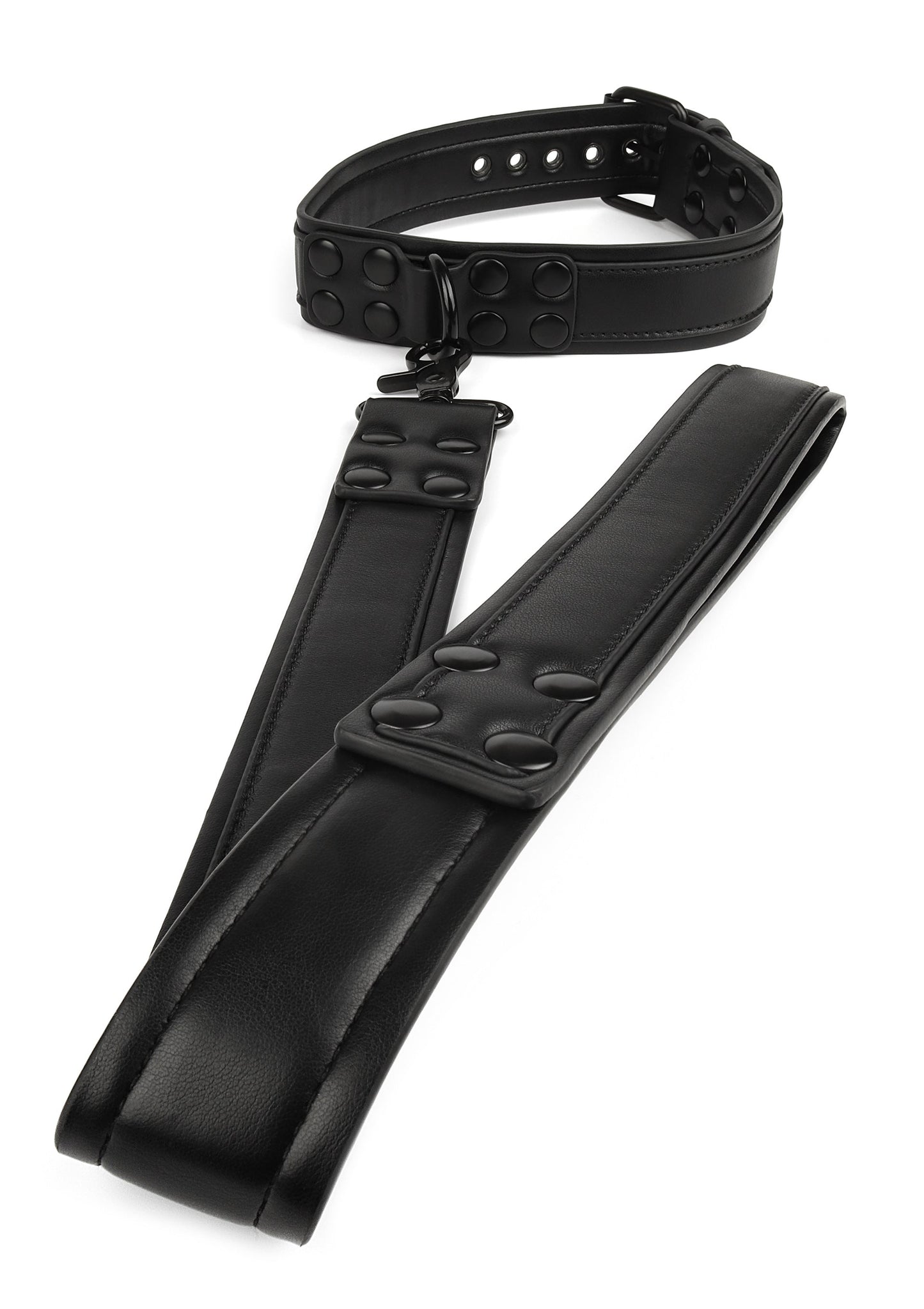 Signature Collar & Leash