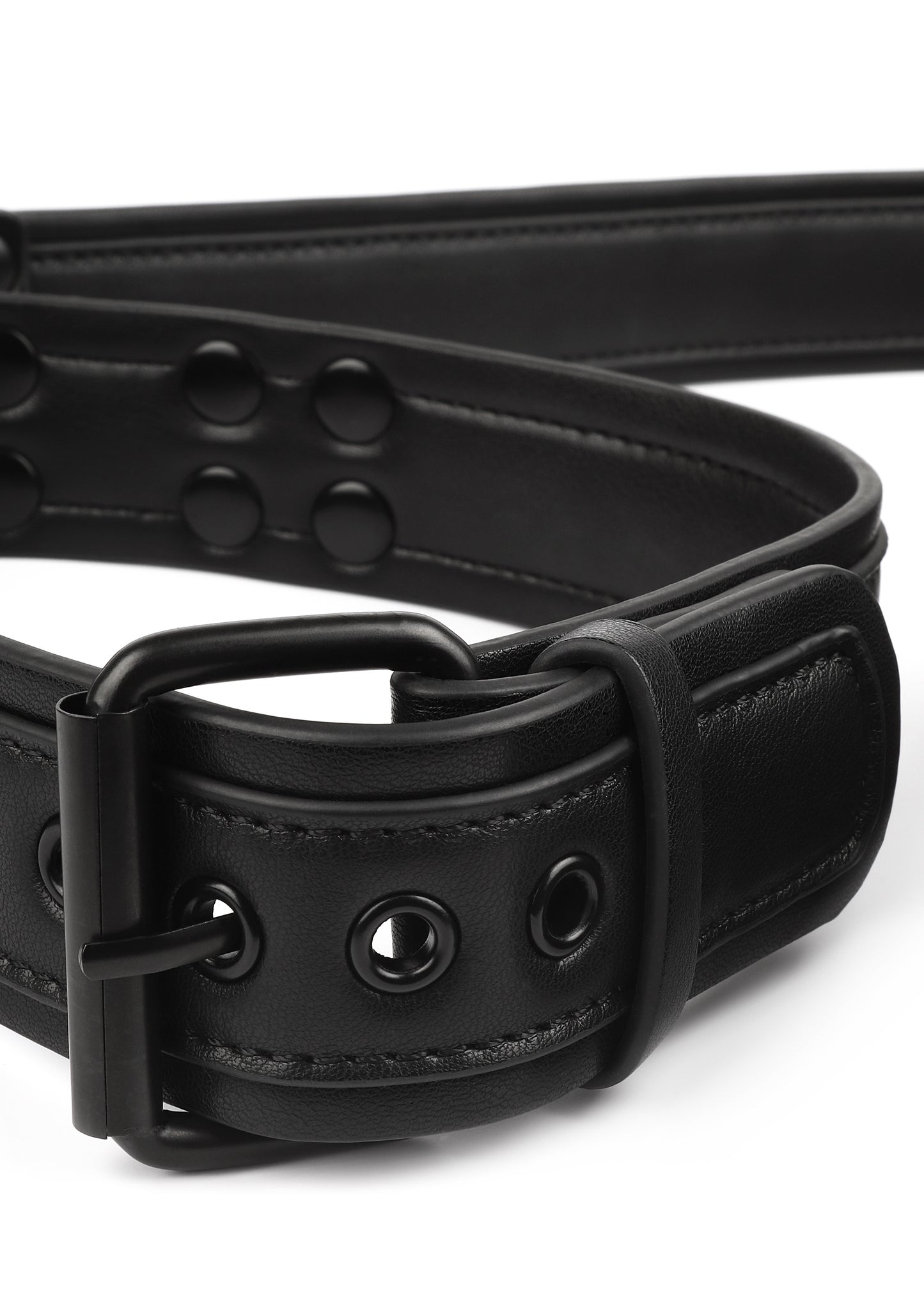 Signature Collar & Leash
