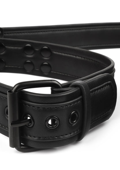 Signature Collar & Leash