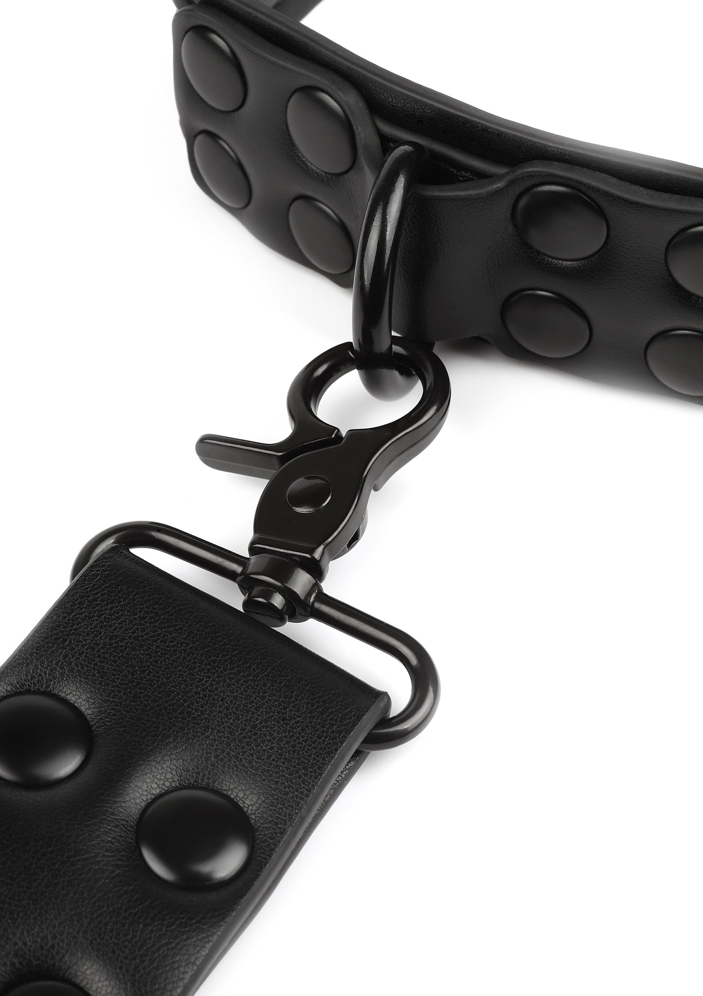 Signature Collar & Leash