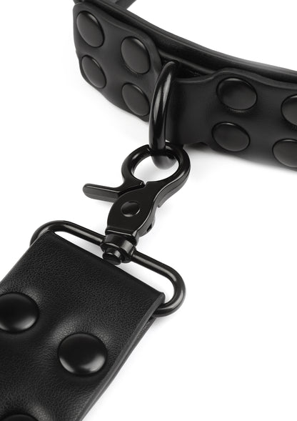 Signature Collar & Leash