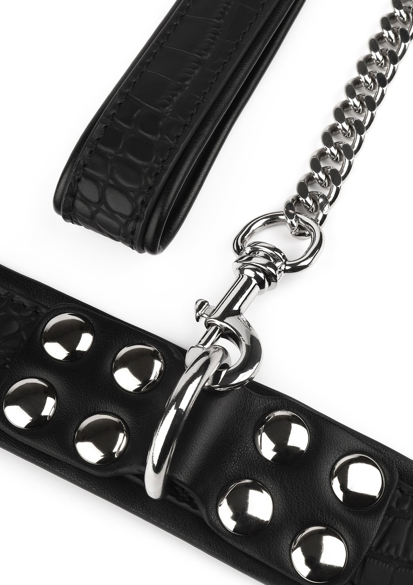 Croc-Embossed Collar & Leash