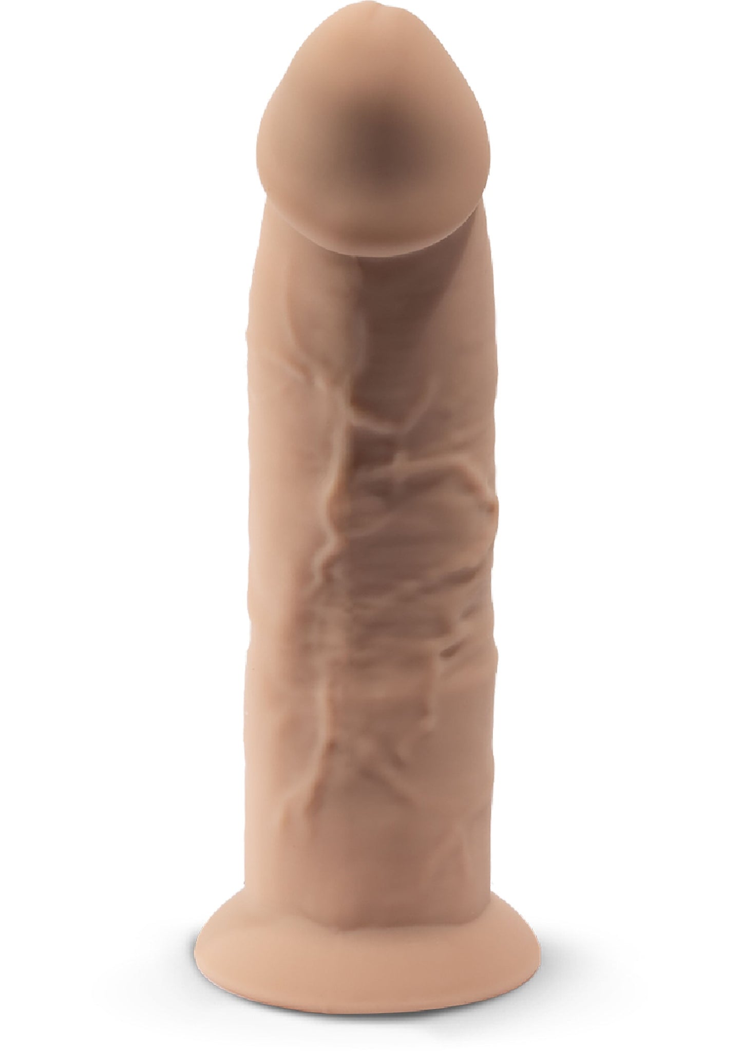 Dong Model 6 inch