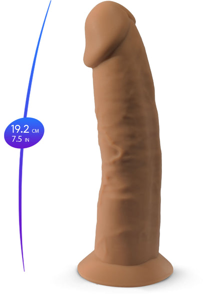 Dong Model 7.5 inch