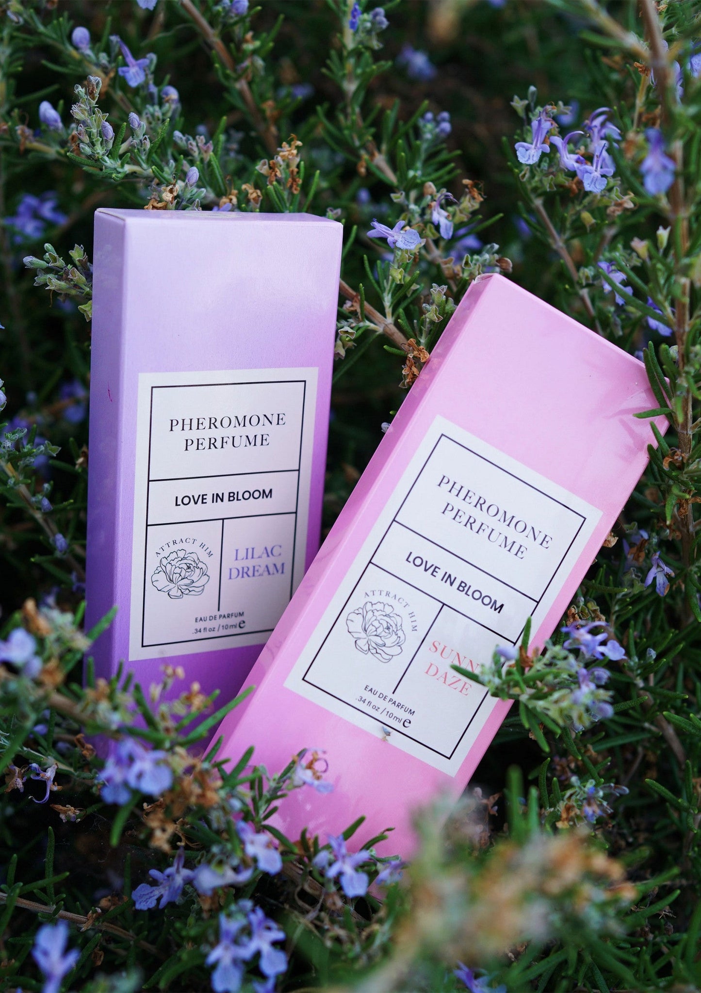 93953 eye of love bloom phero parfum attract him 10ml