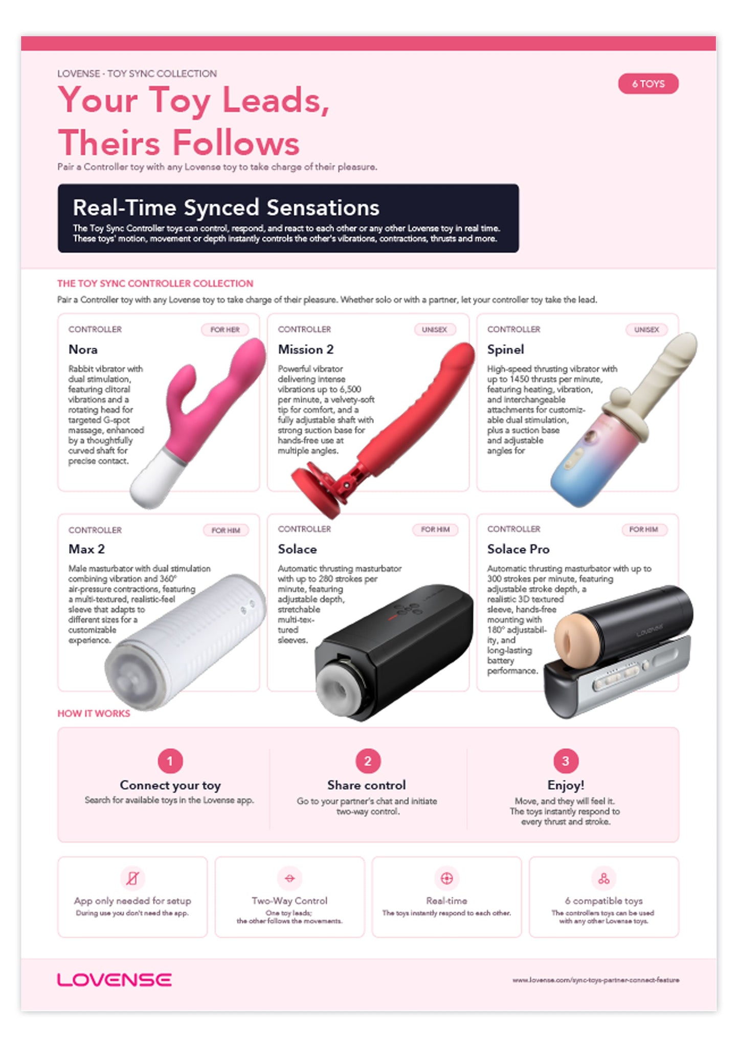 Retail Shelf Pack: Lovense Toy Sync